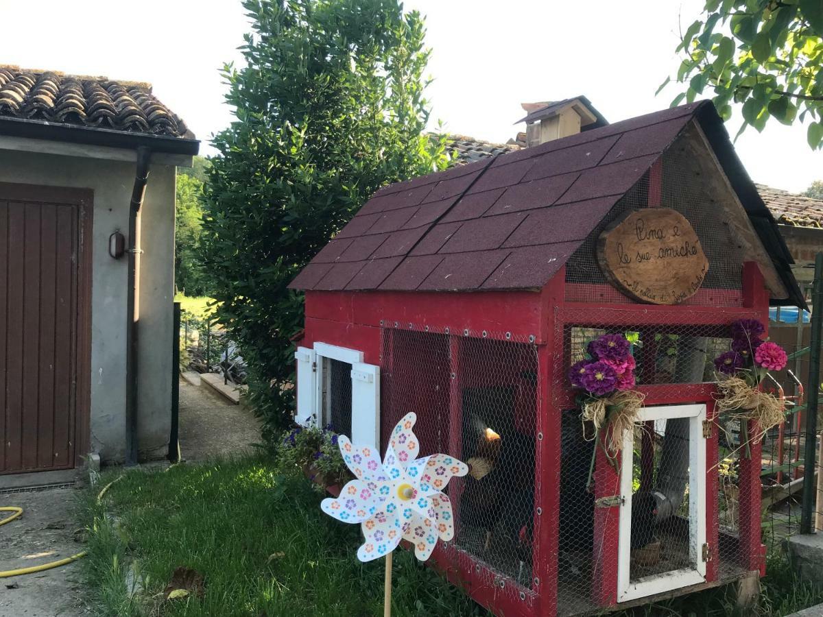 Tra I Campi Di Papaveri Медезано Экстерьер фото